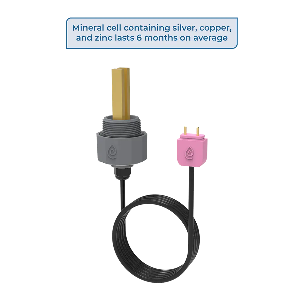 Pink Plug Mineral Cell