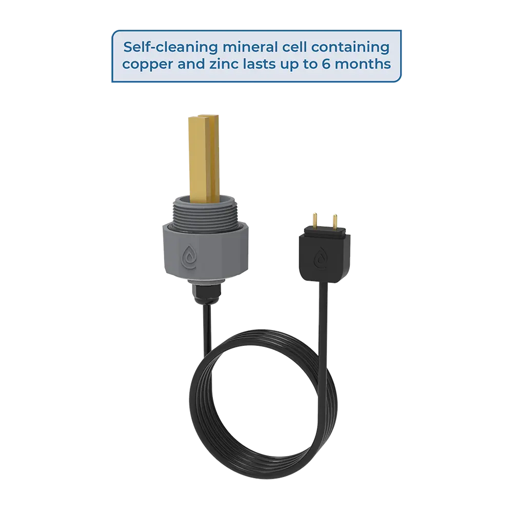 Black Plug Mineral Cell